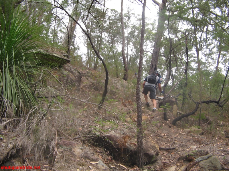 20061126-ONR-Spiders 246 